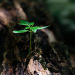 Čuvati svoju dušu kao i tijelo